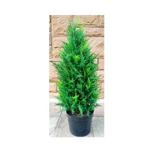 Искусственное растение FORGARDEN Кипарис Cypress tower 90 см (FGN_BF01707)