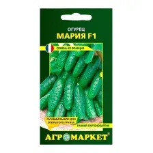Семена Агромаркет Огурец Мария F1 (10шт)