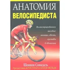 Анатомия велосипедиста