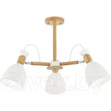 Люстра Evoluce Balcamo SLE103802-03