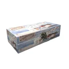 Сувенирная шкатулка DH194-5, 24х11х6 см