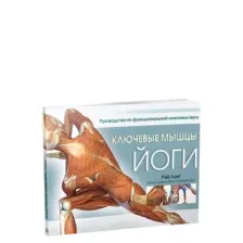 Ключевые мышцы йоги