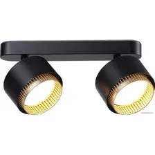 Спот Ambrella light TN71288/2 BK/GD (черный/золото)