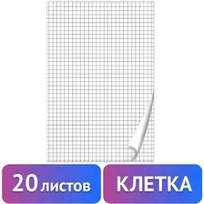 Бумага для флипчарта BRAUBERG 128645 (20 листов, клетка)
