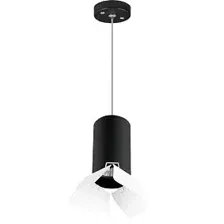 Подвесная люстра Lightstar Rullo RP437436