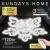 Припотолочная люстра Sundays Home KR-40 6327