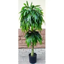 Искусственное растение Forgarden Slim Mango 150 см