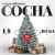 Сосна Erbis Темная с белыми кончиками 180