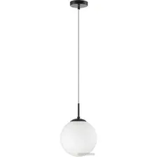 Подвесная люстра Lumion Summer 6510/1B