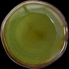 Тарелка обеденная Corone Verde HL496950 фк0706