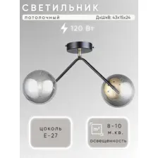 Припотолочная люстра Aitin Pro НПБ 02-2x60-102 N36378/2 (черный/бронза)