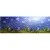 Классический коврик Isolon Decor Подводное царство 1800x550x8