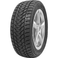 Зимняя шина Delinte Winter WD1 275/40R19 101H