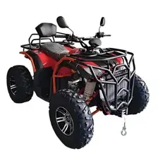 Квадроцикл Storm MAX 300 X