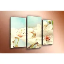 Модульная картина Arthata m-000475 75x50