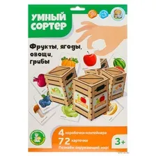 Сортер "Фрукты, ягоды, овощи, грибы"