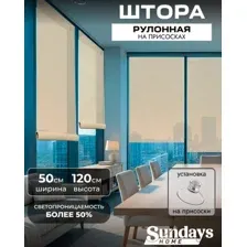 Рулонная штора Sundays Home Санскрин 310-02 50х120 (бежевый, на присосках)