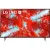 Телевизор LG 43UQ90006LD