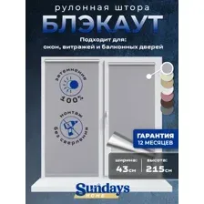 Рулонная штора Sundays Home LM 168-07 43x215 (серый)