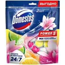 Средство для унитаза Domestos Power 5 Свежесть лайма+Ледяная магнолия (2x50г+3x50г)