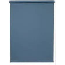 Рулонные шторы Legrand Мона 66x175 (синий)