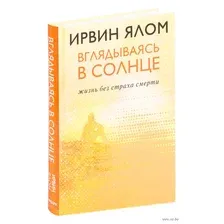 Вглядываясь в солнце. Жизнь без страха смерти