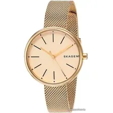Наручные часы Skagen SKW2614