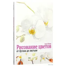 Рисование цветов от бутона до листьев
