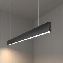 Потолочный светильник Elektrostandard 101-200-30-103 20W 4200K (черная шагрень)