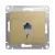 Розетка телефонная Schneider Electric Glossa GSL000481T (титан)