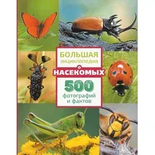 Энциклопедия АСТ Большая энциклопедия о насекомых. 500 фотографий и фактов