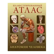 Иллюстрированный атлас. Анатомия человека