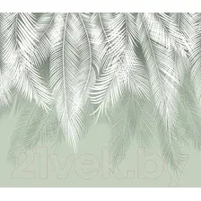 Фотообои Citydecor Пальмовые листья 300x260 (олива)