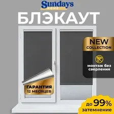 Рулонные шторы Sundays Home LM 167-07 85х160 (темно-серый)