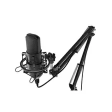 Микрофон Ritmix RDM-180 (черный)