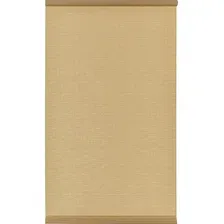 Рулонные шторы Franc Gardiner Shantung 60x250 8316669 (бежевый)