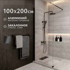 Душевая стенка Saniteco Walk-In SN-W6TB100 (100x200, прозрачное стекло, черный профиль)