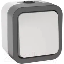 Выключатель IEK Tors TS-V16-0-10-55-K41
