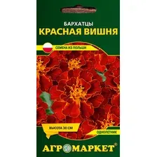 Бархатцы Красная вишня 0,5 г