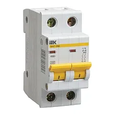Выключатель автоматический IEK ВА 47-29M 2A 2п 4.5кА С / MVA21-2-002-C