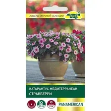 Семена цветов Живой мир Катарантус Медитерранеан Стравберри (5шт)
