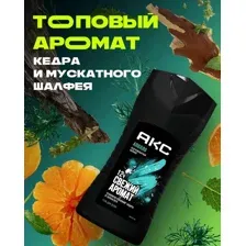 Гель для душа Акс Аполло (250мл)