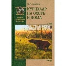 Курцхаар на охоте и дома