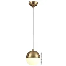 Подвесная люстра Odeon Light Pinga 4960/1