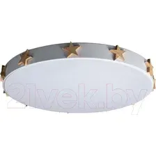 Потолочный светильник Loftit Axel 10006/36 (белый)