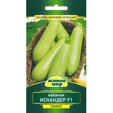 Семена Кабачок Искандер F1 (Seminis) 4 шт, РБ