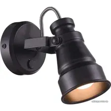 Спот Citilux Бейкер CL541511