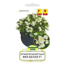 Семена цветов Живой мир Бегония вечноцветущая Фея белая F1 (10шт)