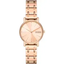 Наручные часы Skagen SKW3125