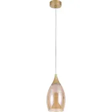 Светильник Arte Lamp Barry A7951SP-1GO